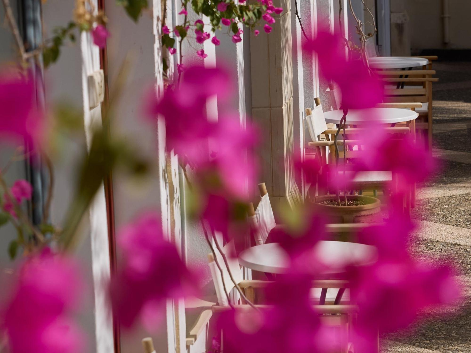 Grecotel Plaza Beach House Rethymno  Ngoại thất bức ảnh